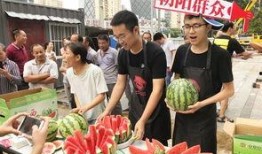 51热心的朝阳区群众今日吃瓜,今日瓜田，谁主沉浮？”